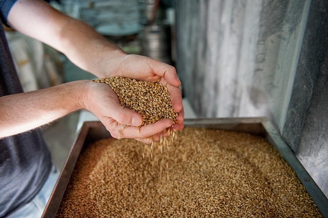 Hulled Barley