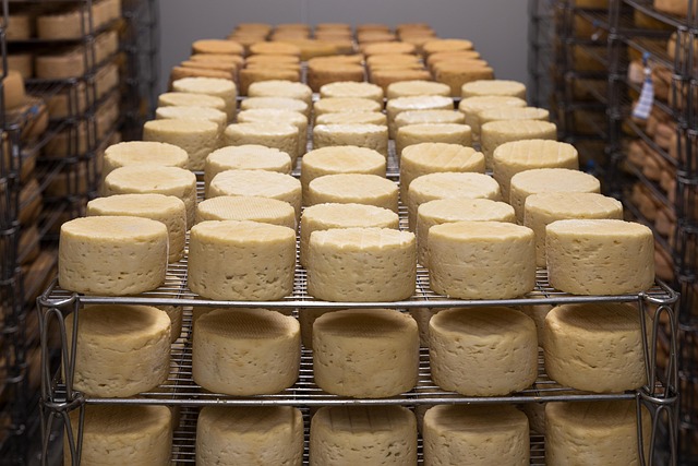 Cheddar Cheese